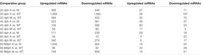 Transcriptomic Analysis Provides Insights to Reveal the bmp6 Function Related to the Development of Intermuscular Bones in Zebrafish